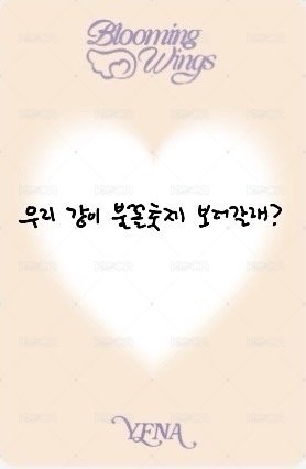 迷四 專輯卡  背面