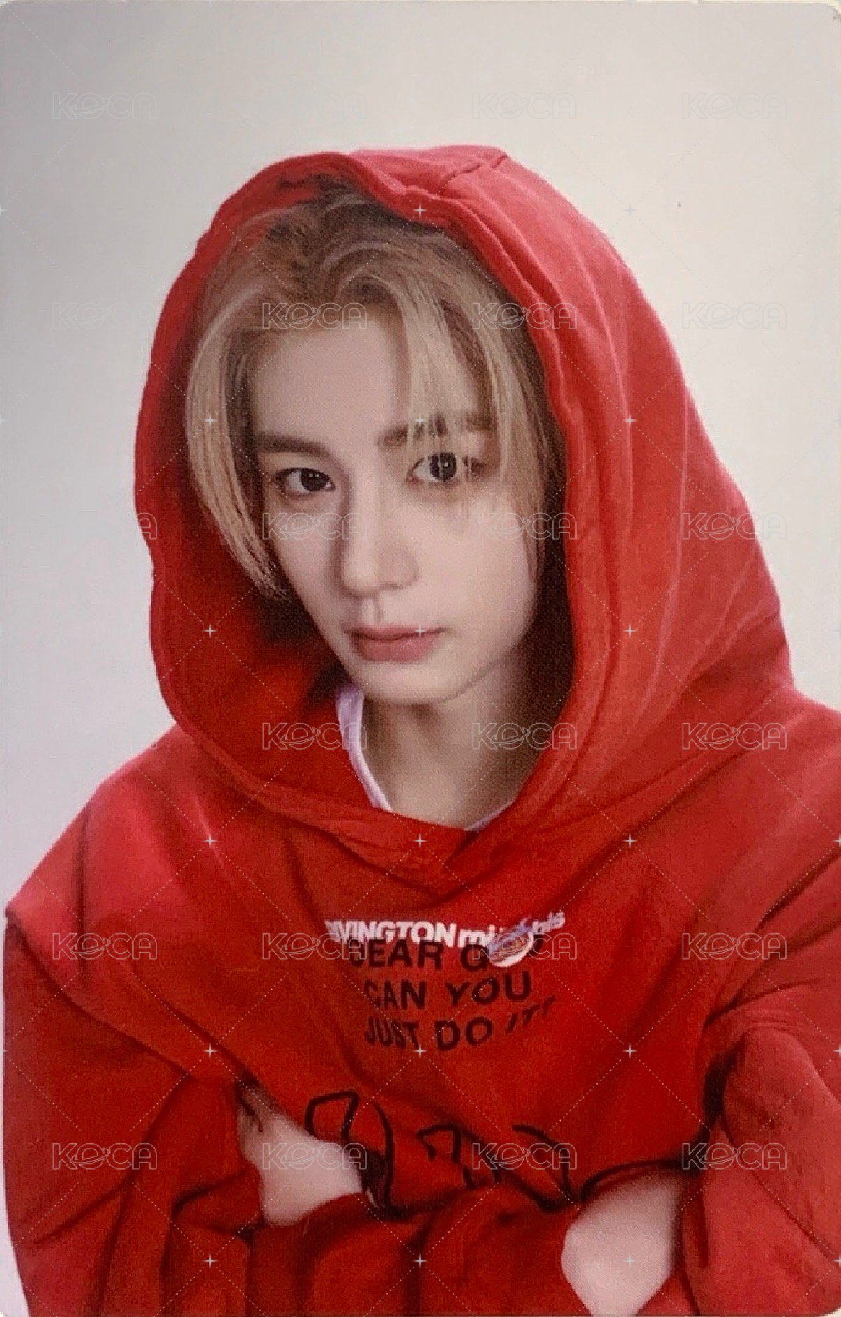 Knock On 巡迴 隨機卡 仁川場周 留言卡 6/6 正面