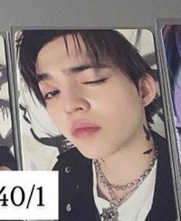 正規五克拉盤哲（側臉）