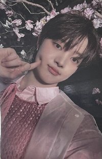 五月雨 wvs Gl 1.0 簽售卡 