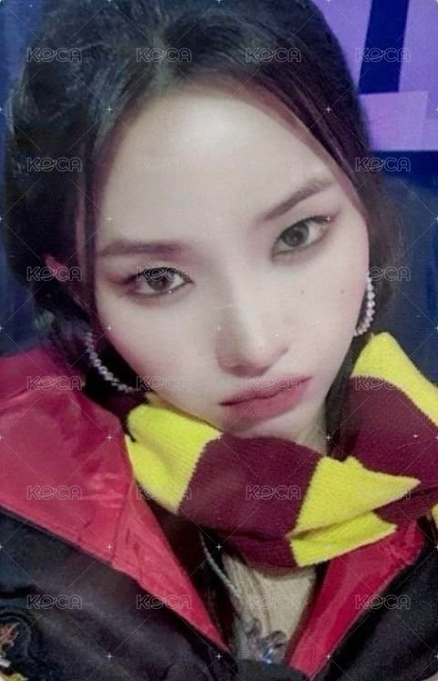 正規二 sr 4.0 簽售卡 哈利波特 正面