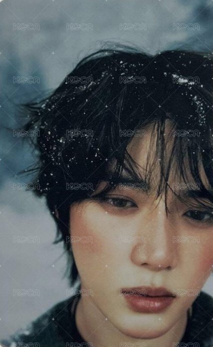 CHIKAI 誓い 日咖 特典卡  正面