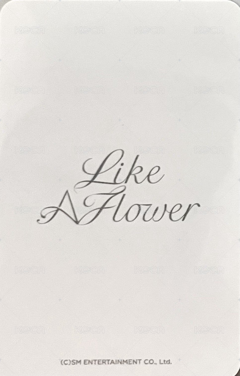 Like A Flower 隨機卡 托腮姐 背面