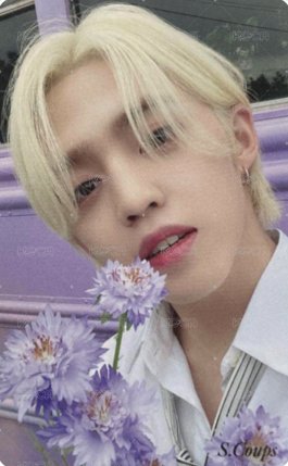 MINI8 hmv 感謝祭 特典卡  正面