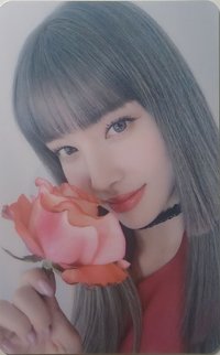 STEREOTYPE wd 幸運卡 