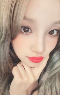 正規二 ms 1.0 特典卡 