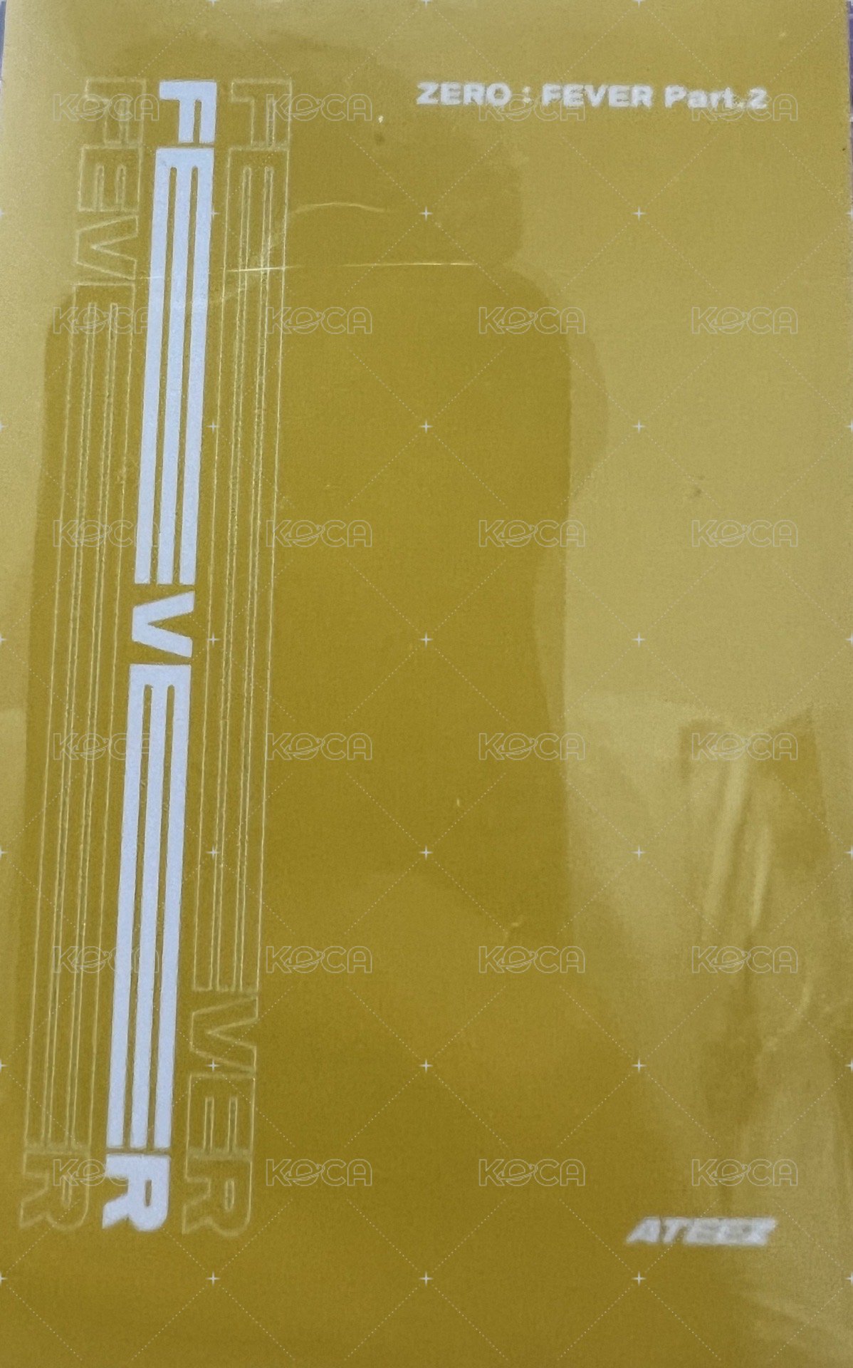 FEVER再版專 專輯卡  背面