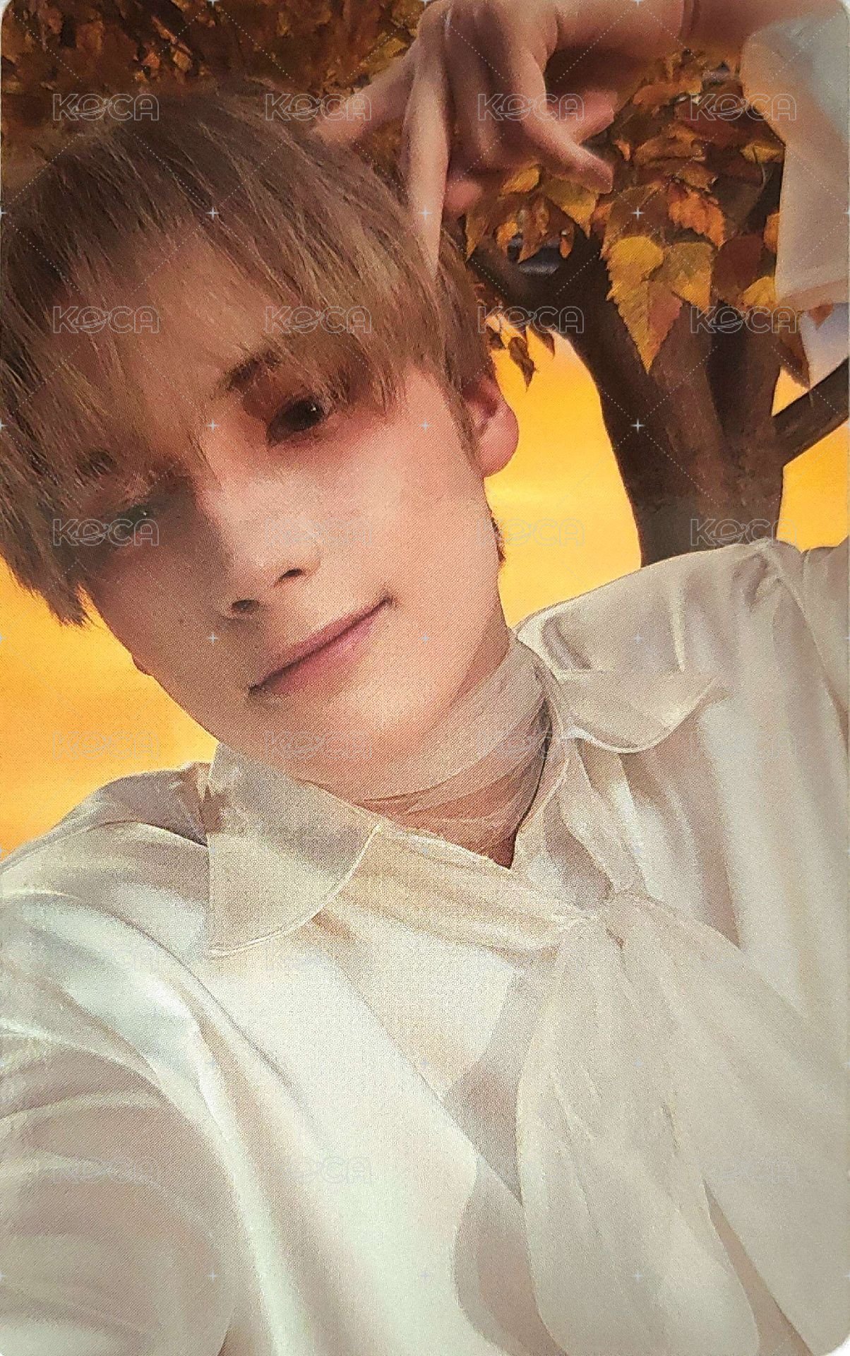 迷六 wvs 特典卡  正面