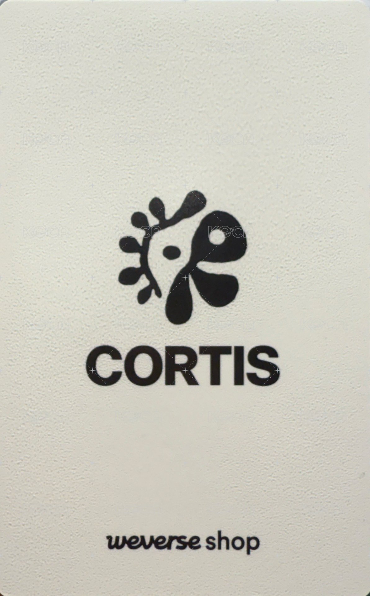 迷一 wvs 預售 特典卡  背面