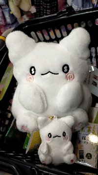 훈이의고양이