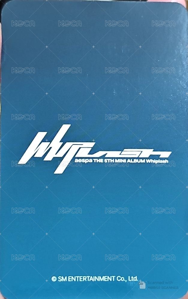 Whiplash dmm 幸運卡 冬 背面
