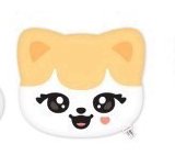 MINIVE PARK 快閃店 抱枕 CHEEZ