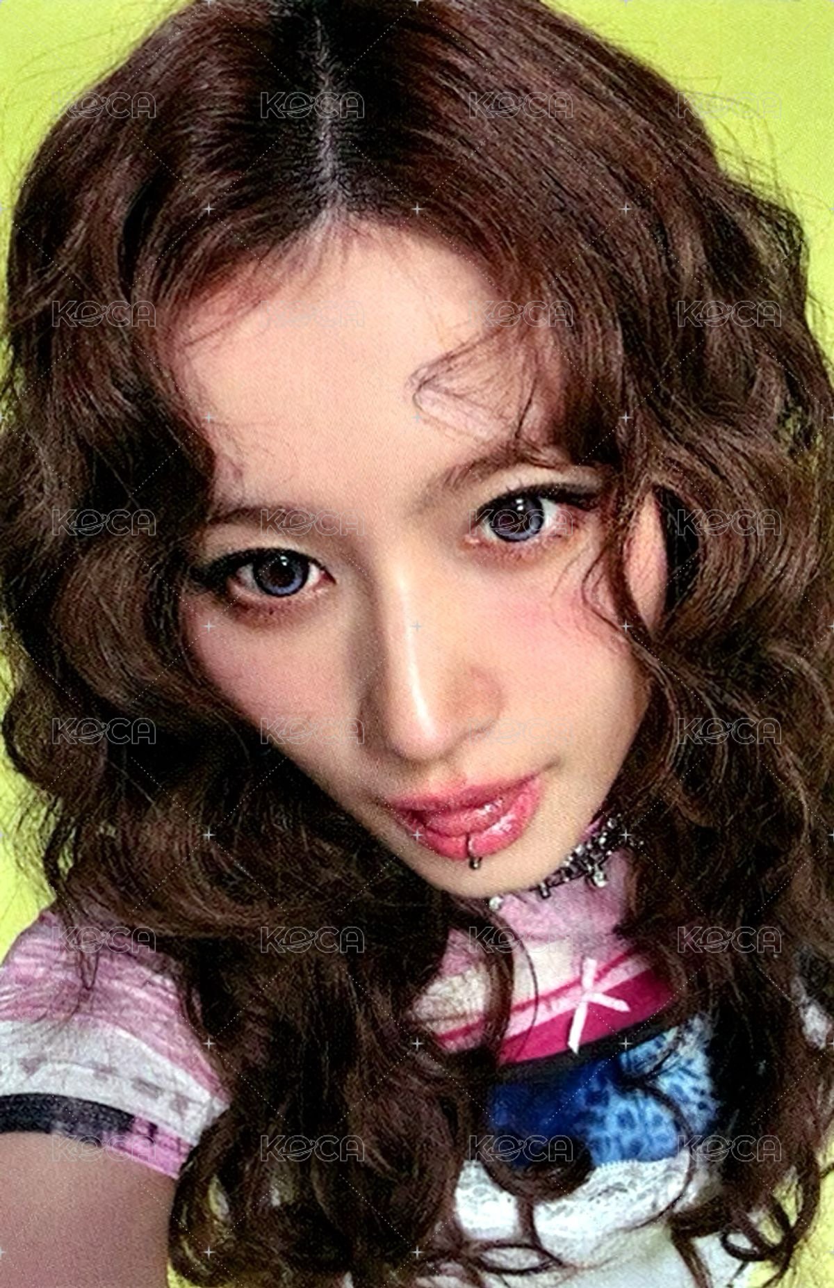 正規四 bdm 預售 特典卡 ver.單封 正面