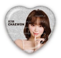 25‘巡迴 東蛋安可 徽章 愛心徽