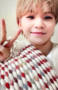 POL 專輯卡 CARAT ver.