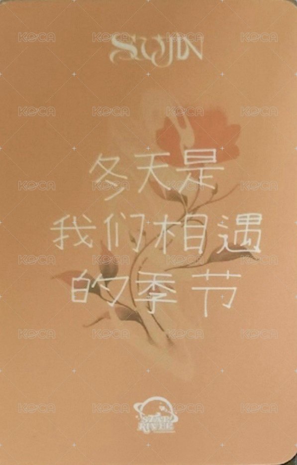 AGASSY sr 1.0 特典卡 熊貓珍 背面