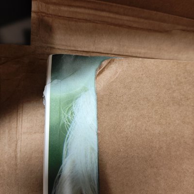 售D社Sion單寫真