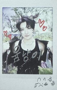 BTL 專輯卡 WVS Albums ver.拍立得