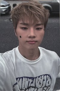 LIVE and FALL jyp 特典卡 