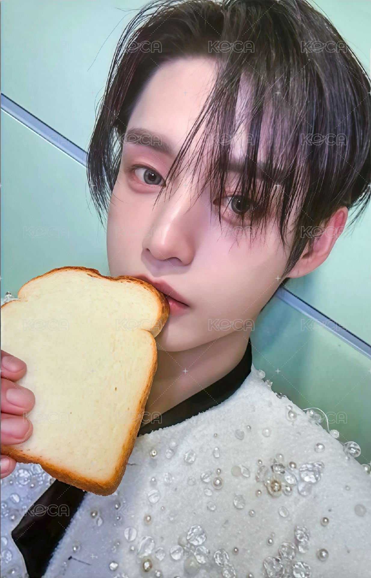 迷五 mp 特典卡 麵包ver. 正面