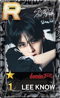 SUPERSTAR 遊戲卡 dominATE