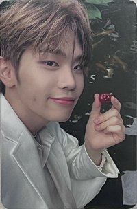 23'FC 隨機卡 櫻桃