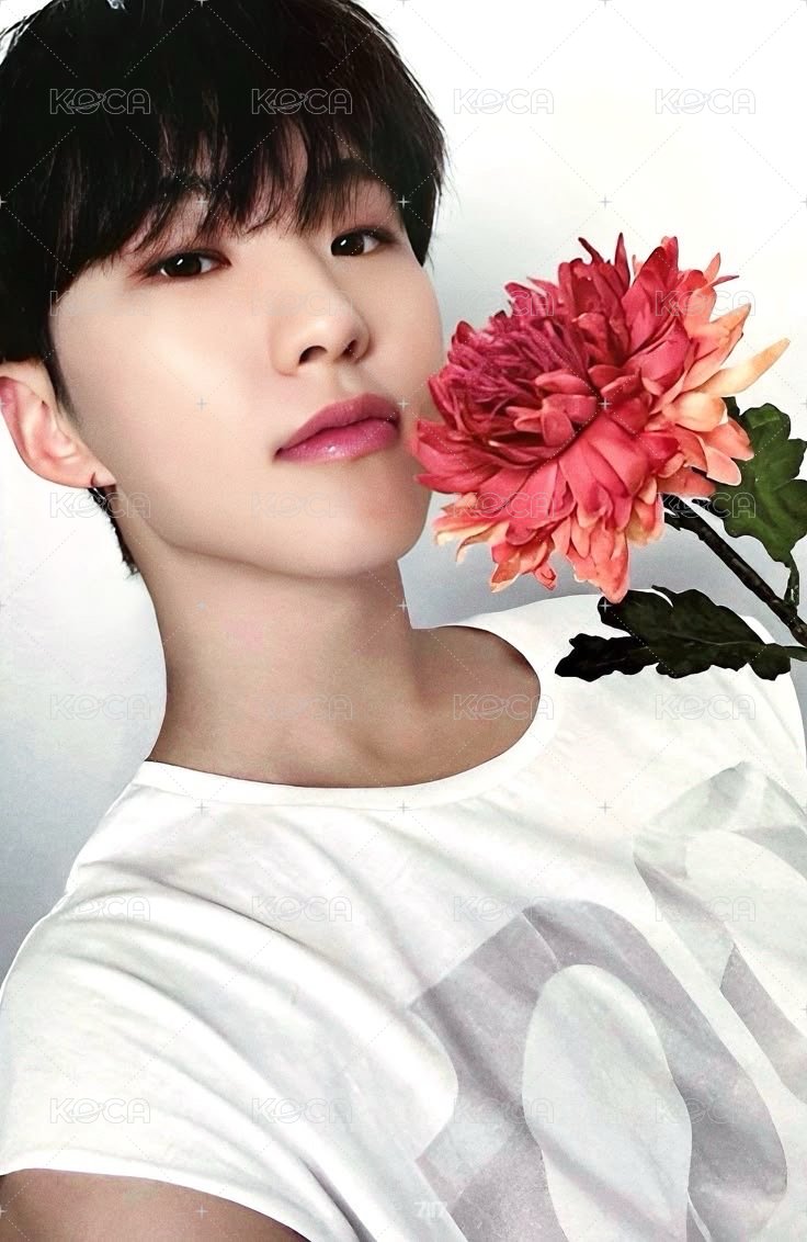 精選專 專輯卡 精選輯｜CARAT ver. 正面