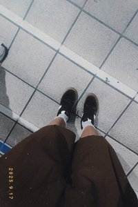 圓圓月