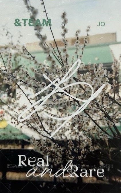 D社 隨機卡 B版 D’PARTMENT 背面