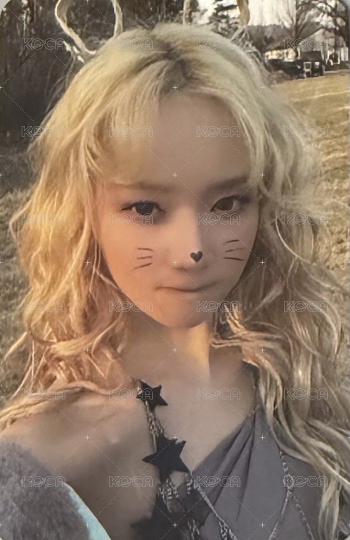 正規一 專輯卡 ZINE版冬 貓咪冬 正面