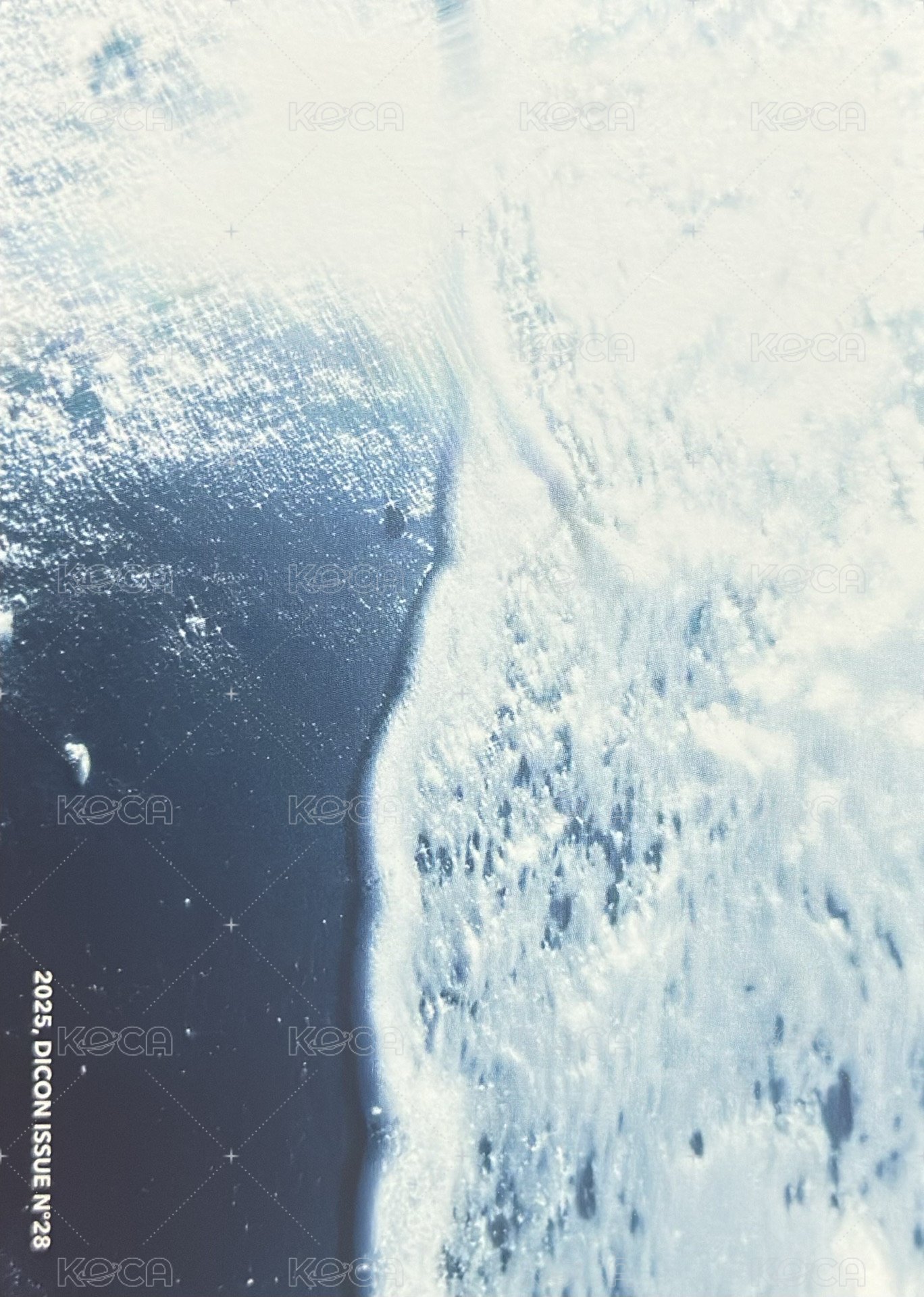 D社/D社日本快閃 明信片 A-TYPE 背面