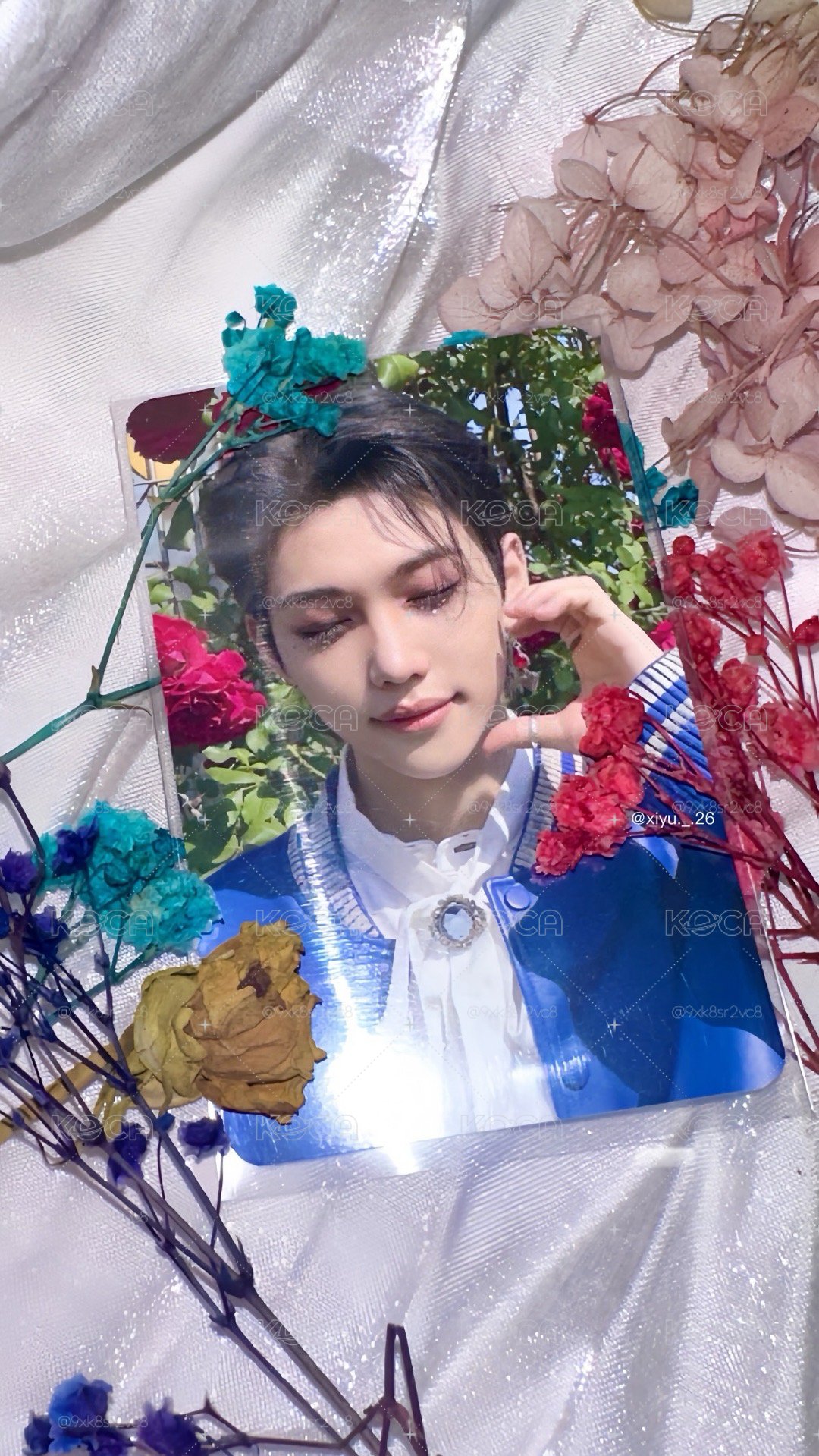 睡美人菲