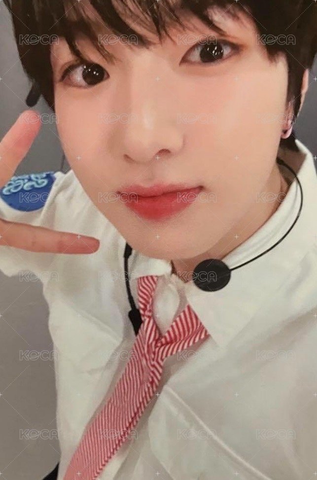 Songbird 直播卡 Tmon 正面