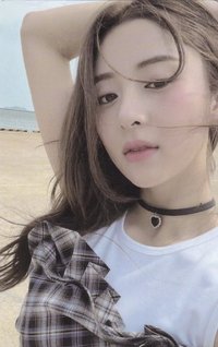 迷二 專輯卡 COMPACT版專卡