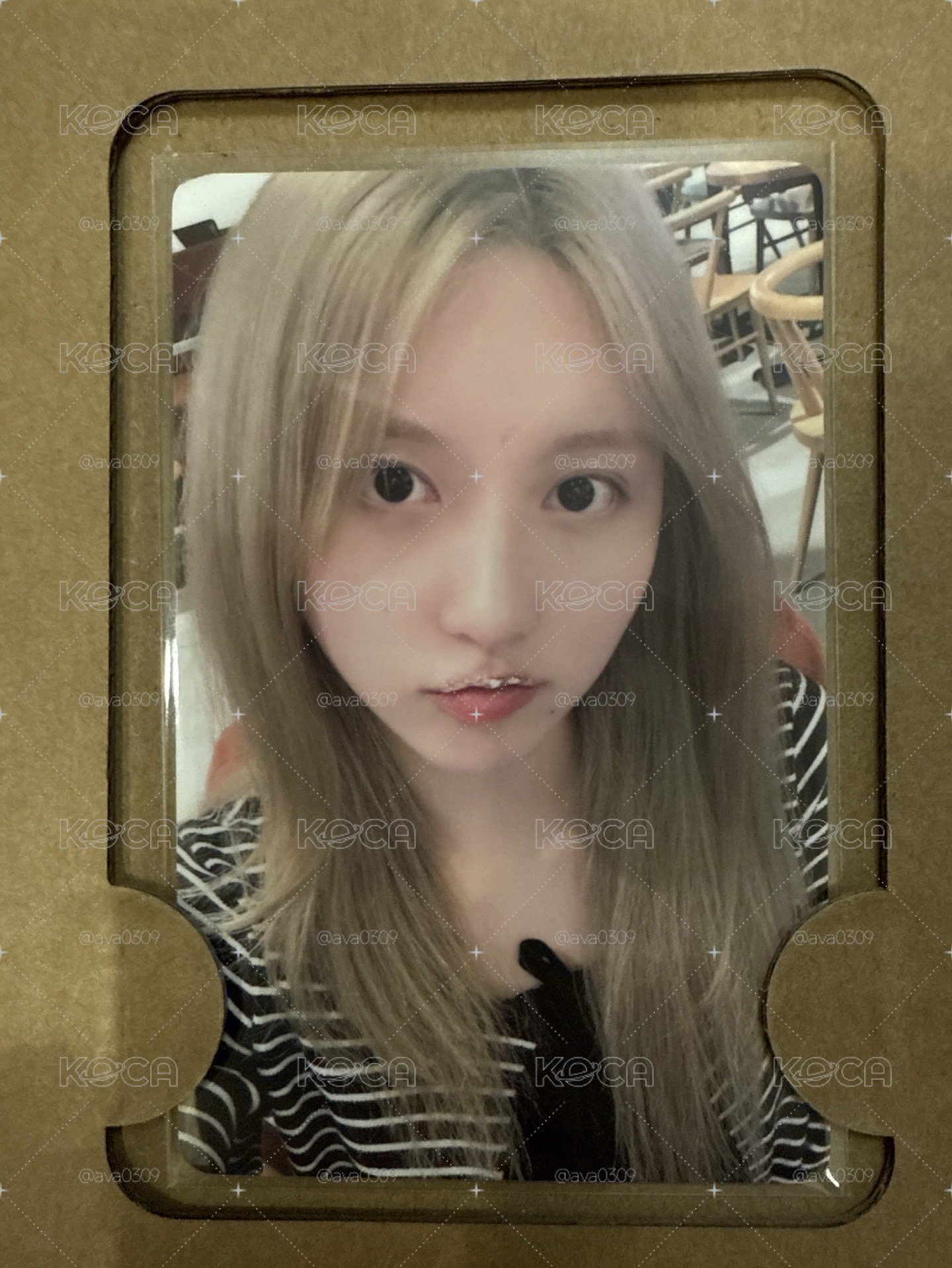 迷四 IVE SECRET 京東特典 秋 GAEUL 金秋天
