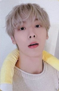 Chameleon ms 4.0 簽售卡 