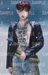 BTL 塔店 特典卡 