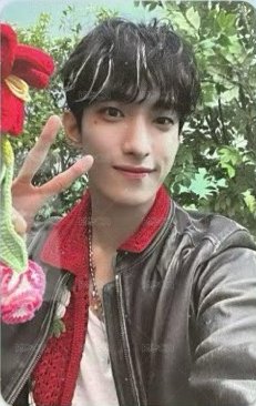 MINI11 sponge 預售 特典卡 CARAT ver 挑染碩 正面