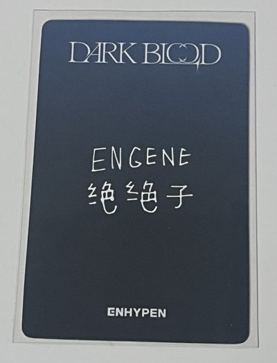 yzy1.0星 中文卡背