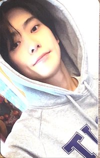 NCIT 周邊卡 貼紙卡