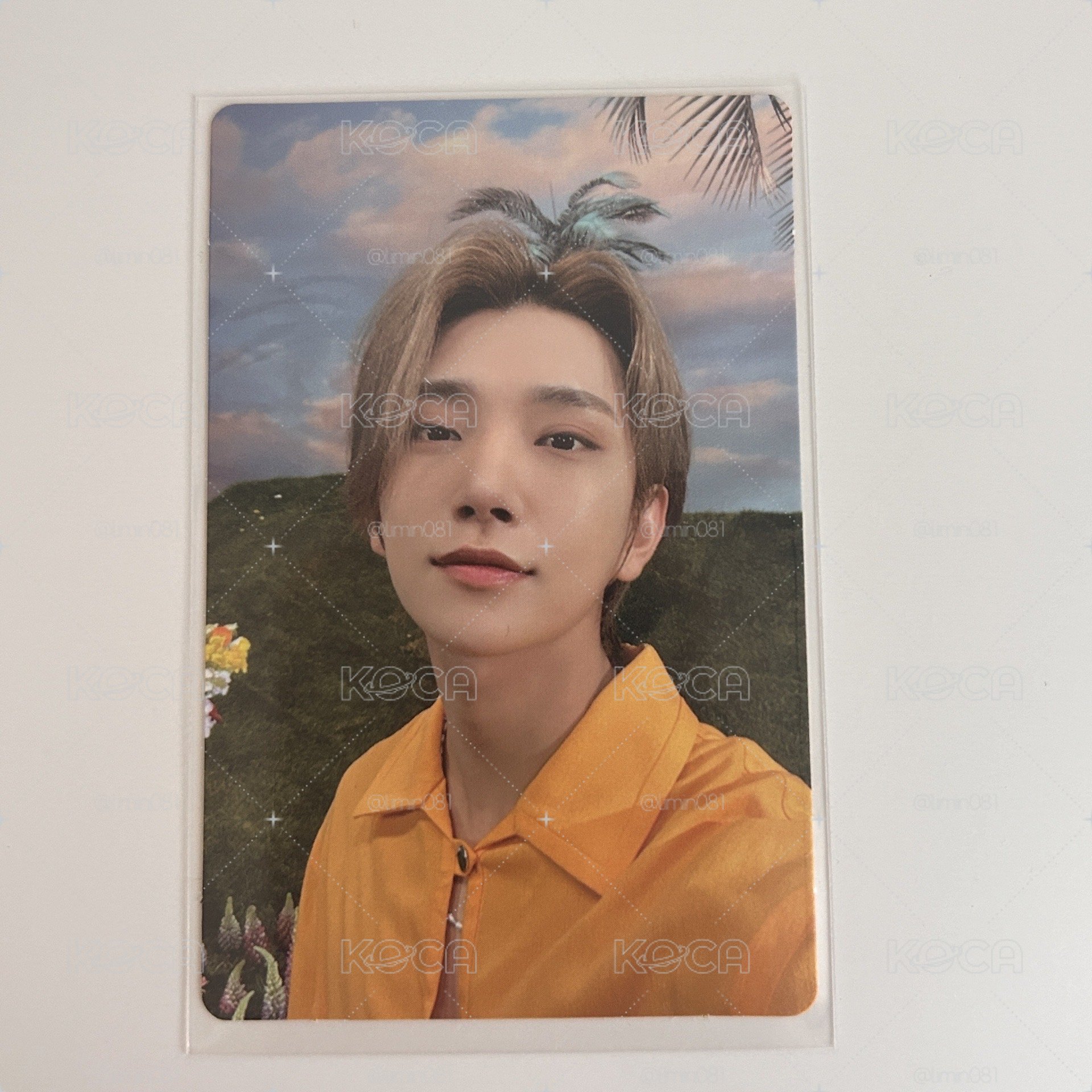 ‎꒰ঌ正四後續 專輯卡 秀 Joshua໒꒱