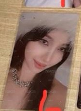 正規二wvs預售娟