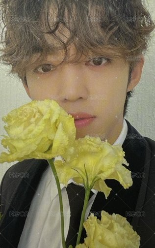 MINI10 專輯卡 MINI 10｜CARAT ver. 正面