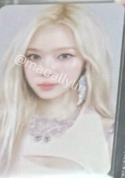 正規一隨機卡官拍冬