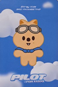 3rd FM 周邊卡 行李吊牌