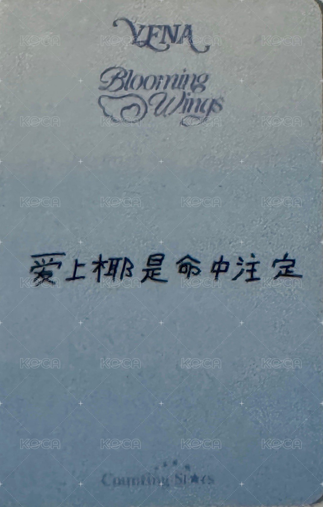 迷四 數星星 上海快閃店 簽售卡  背面