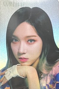 Next Level 周邊卡 閃卡冬