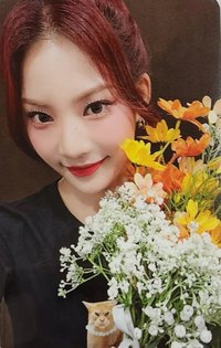 Teddy Bear ms 特典卡 STAYC ISA   捧花莎