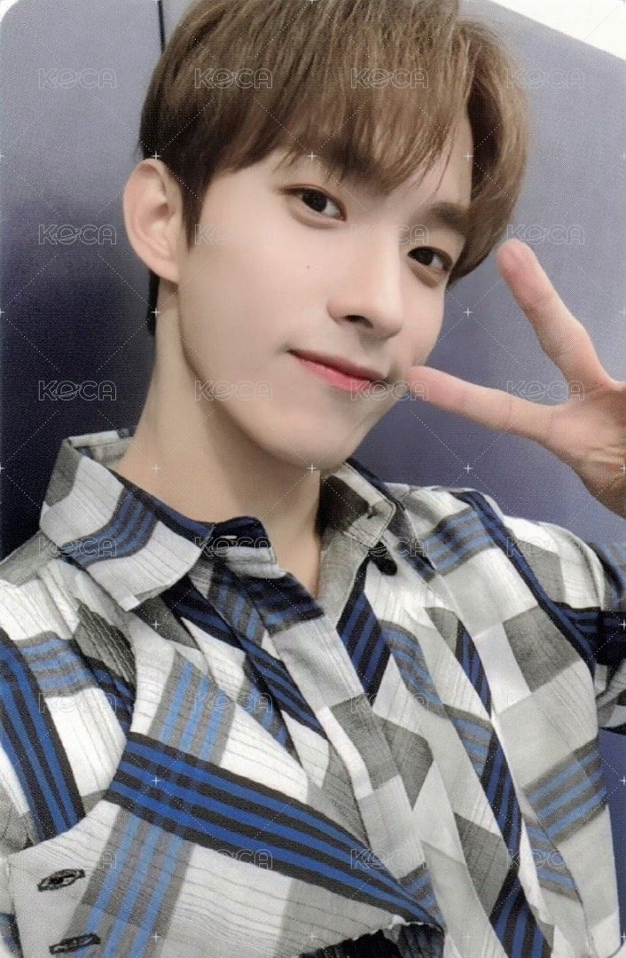 MINI7 專輯卡 ｜NET ver. 正面