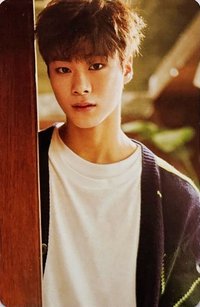 秋專 專輯卡 Red ver.